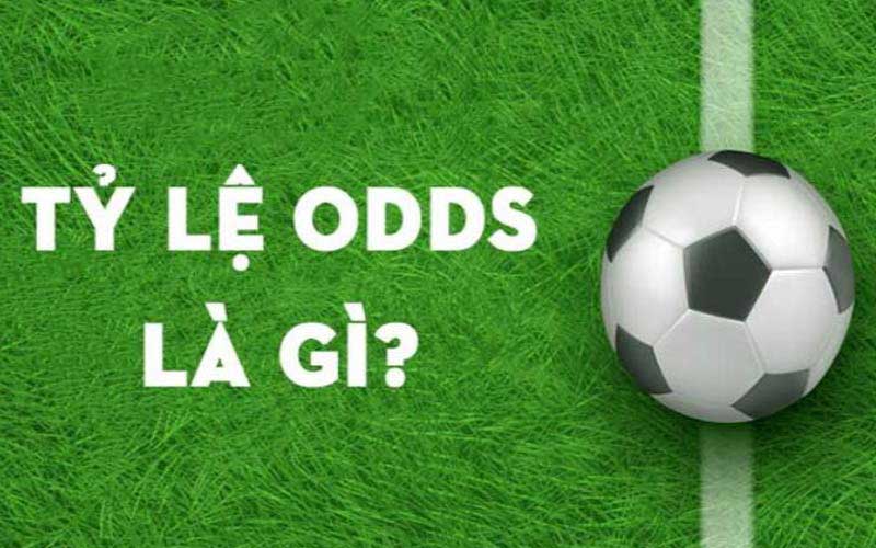 Hướng dẫn cách soi odds và chiến thắng nhà cái dễ dàng