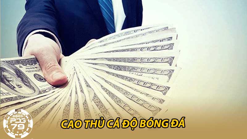 Cao thủ cá độ bóng đá là gì Bí quyết trở thành cao thủ cá độ